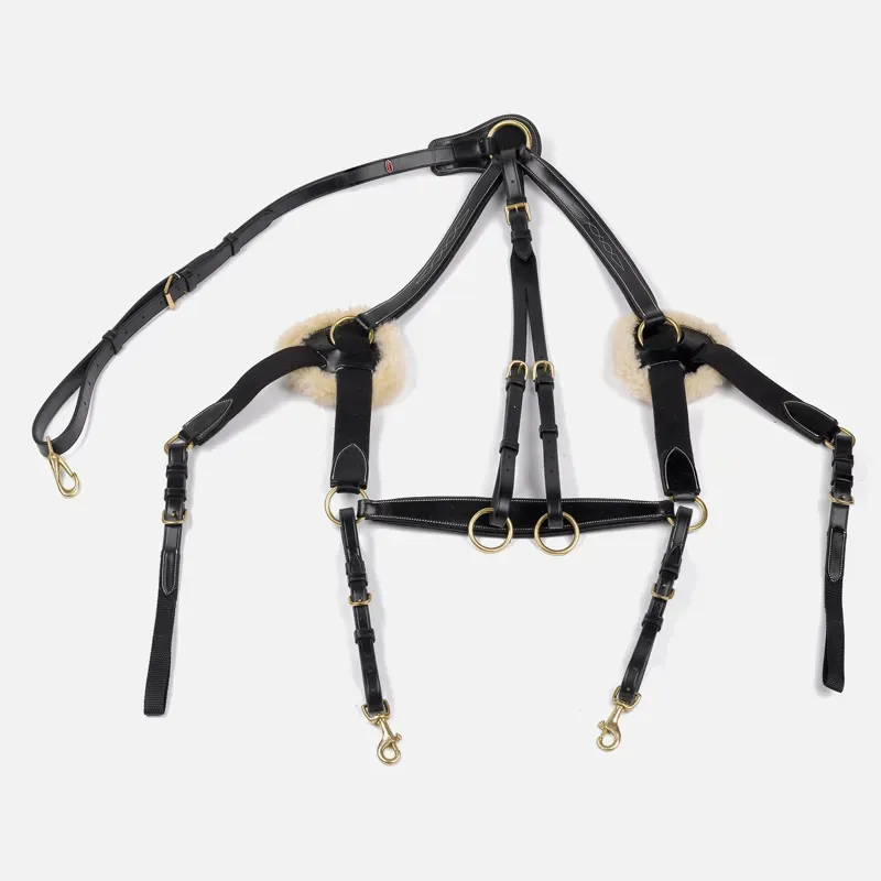 Whitaker Full Valencia 5 Point Breastplate in Black