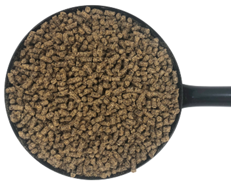 Dodson and Horrell Cush Care Condition 18kg-1