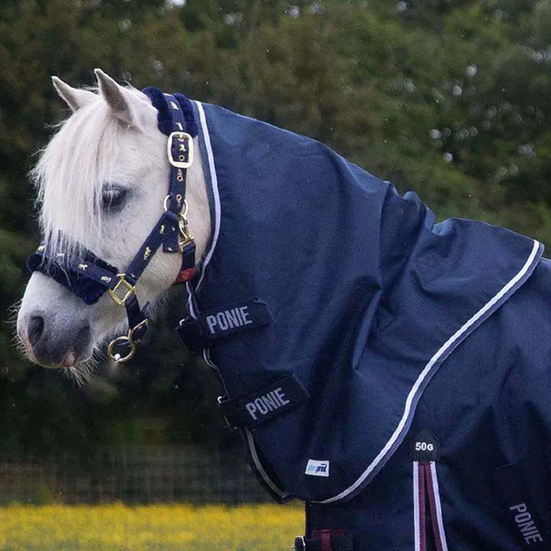 Gallop Large Ponie Duraproof 5-Point Lightweight Neck Cover in Navy