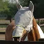 Field Relief Max Fly Mask - - Grey with Yellow Binding