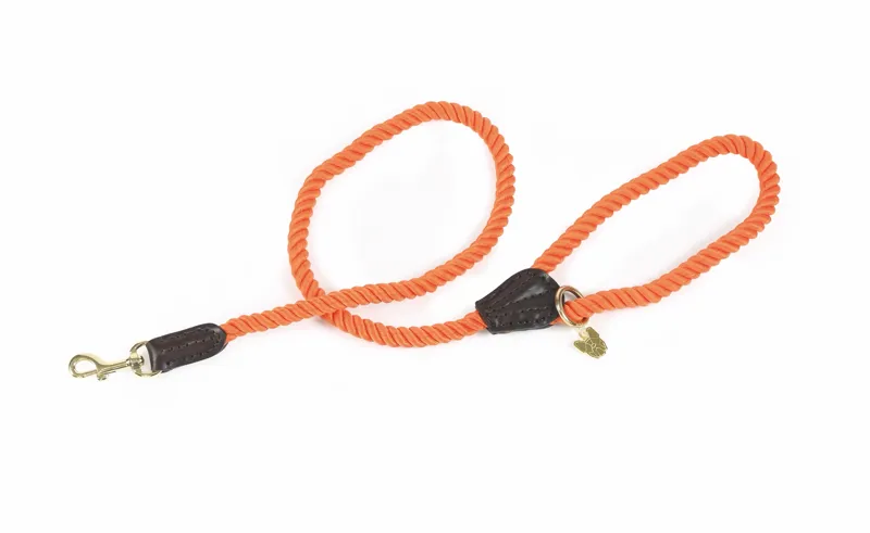 Digby and Fox Rope Dog Lead in Orange