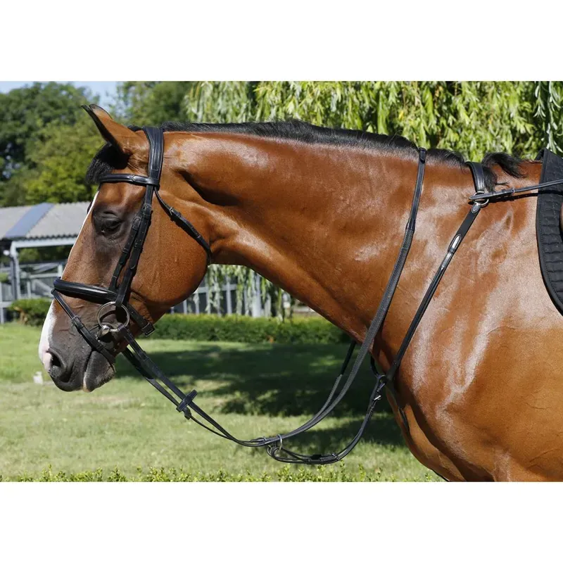 Mark Todd Performance Breastplate in Black