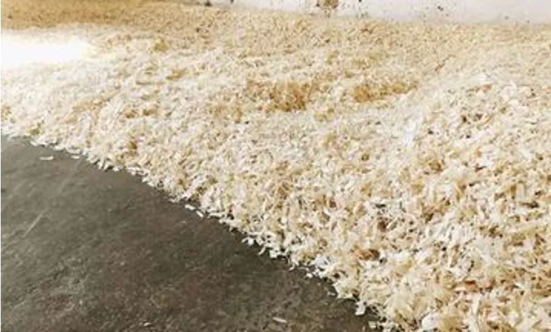 Mega Spread Shavings 25kg-2