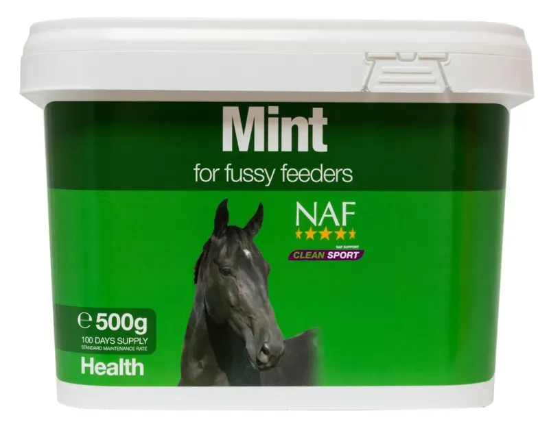 NAF 500g Mint