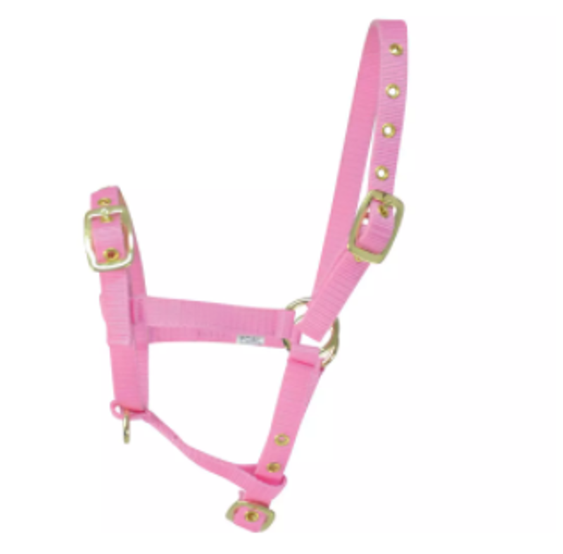 Hy Foal Head Collar in Pink