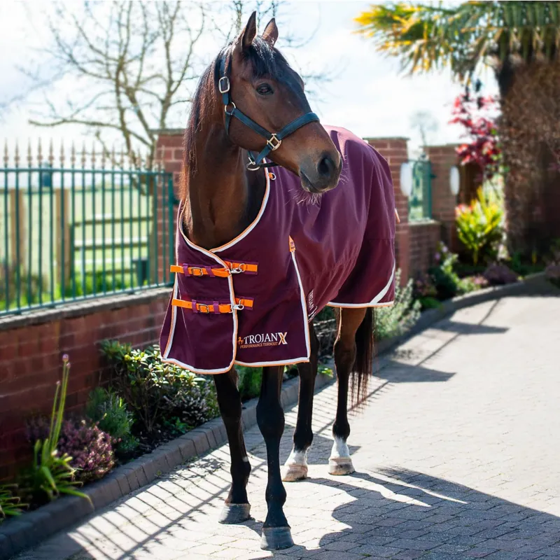 Trojan Xtra 100 Turnout Rug 1200d Burgundy Orange-1