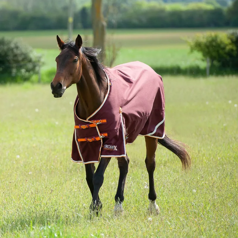 Trojan Xtra 100 Turnout Rug 1200d Burgundy Orange-2
