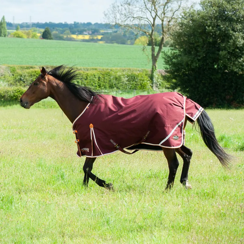 Trojan Xtra 100 Turnout Rug 1200d Burgundy Orange-3