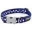 Red Dingo Spot Collar Blue and White
