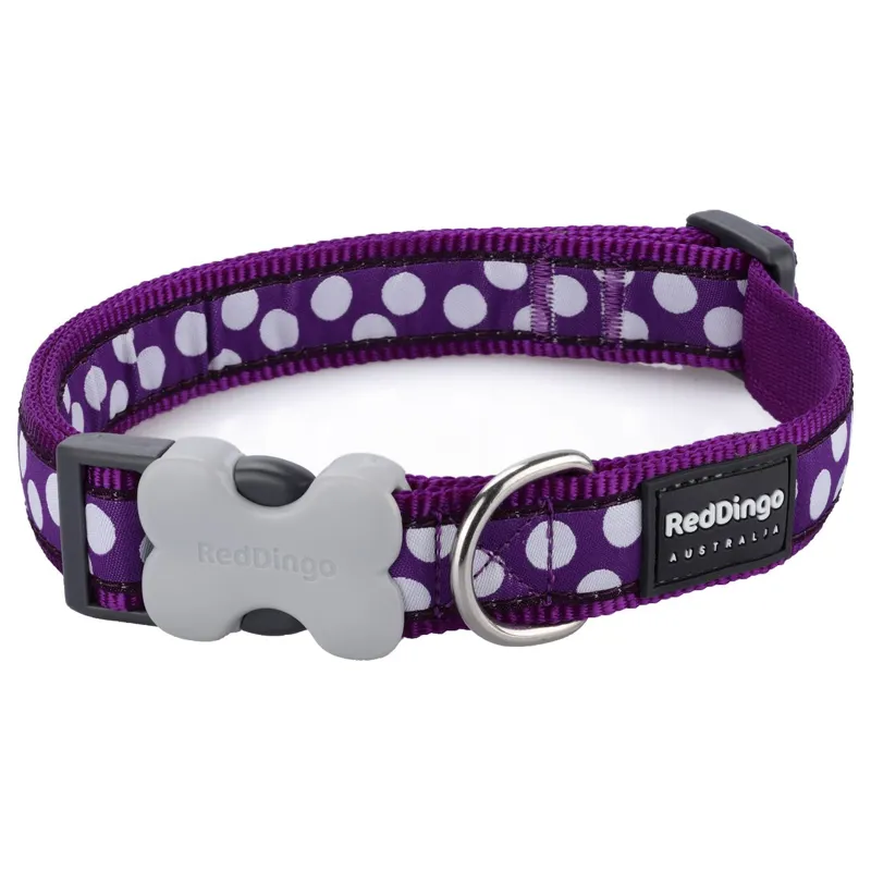 Red Dingo Spot Collar Purple and White