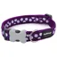 Red Dingo Spot Collar Purple and White