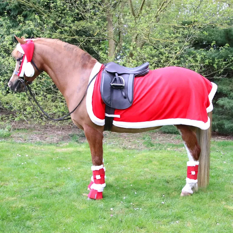 Hy Equestrian Christmas Santa Exercise Sheet-1