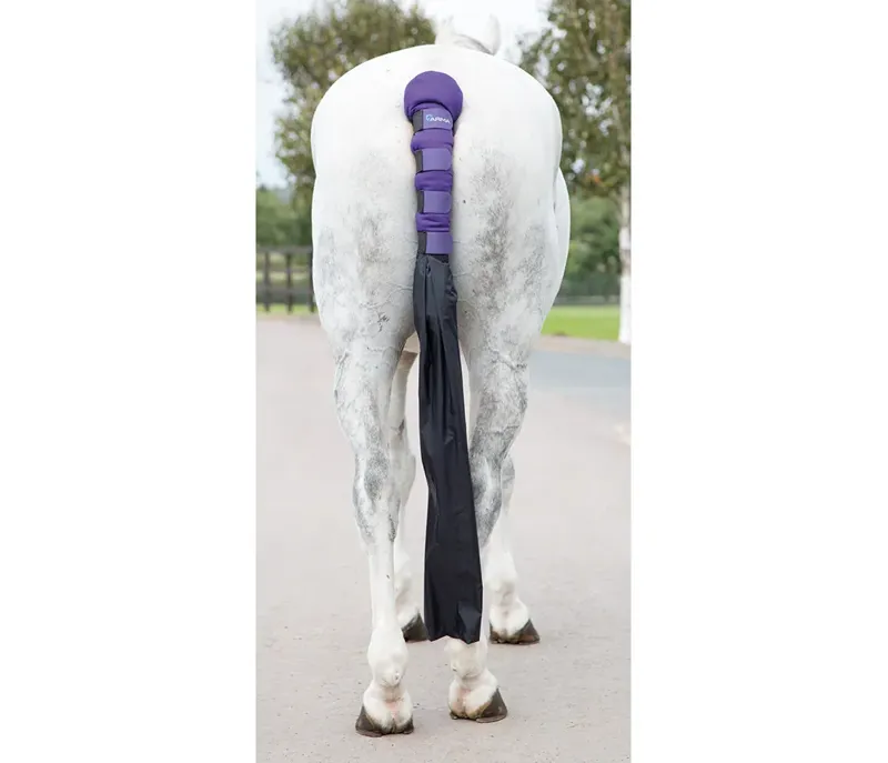 ARMA Padded Tail Guard With Bag PURPLE one size