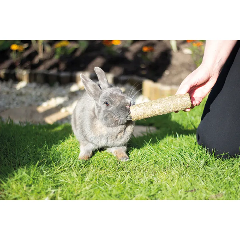 Naturals Pea n Mint Roller Treats 2pc for Small Animals-2