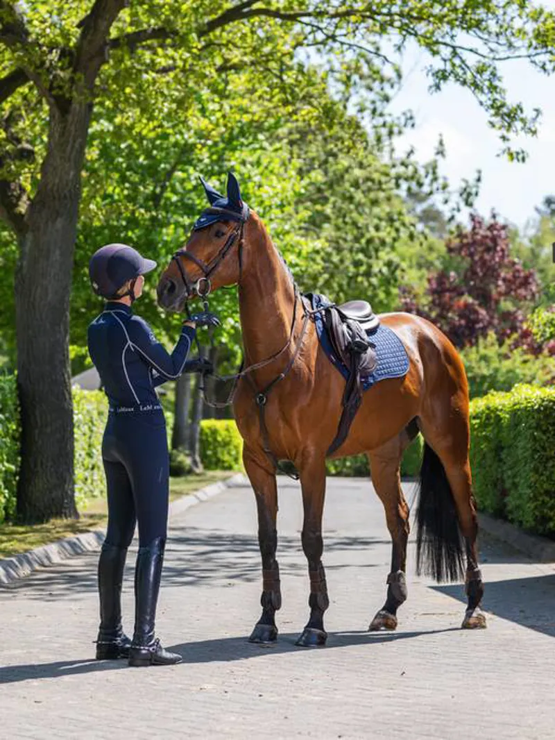 LeMieux Suede Close Contact Pad Navy-1