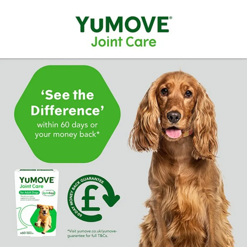 YuMOVE Joint Care for Adult Dogs  60 pack-4