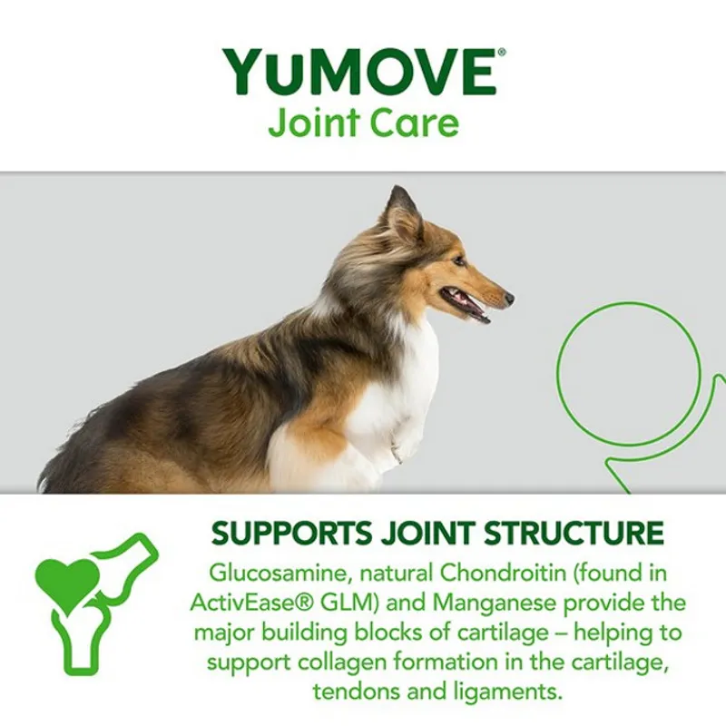 YuMOVE Joint Care for Adult Dogs  60 pack-6