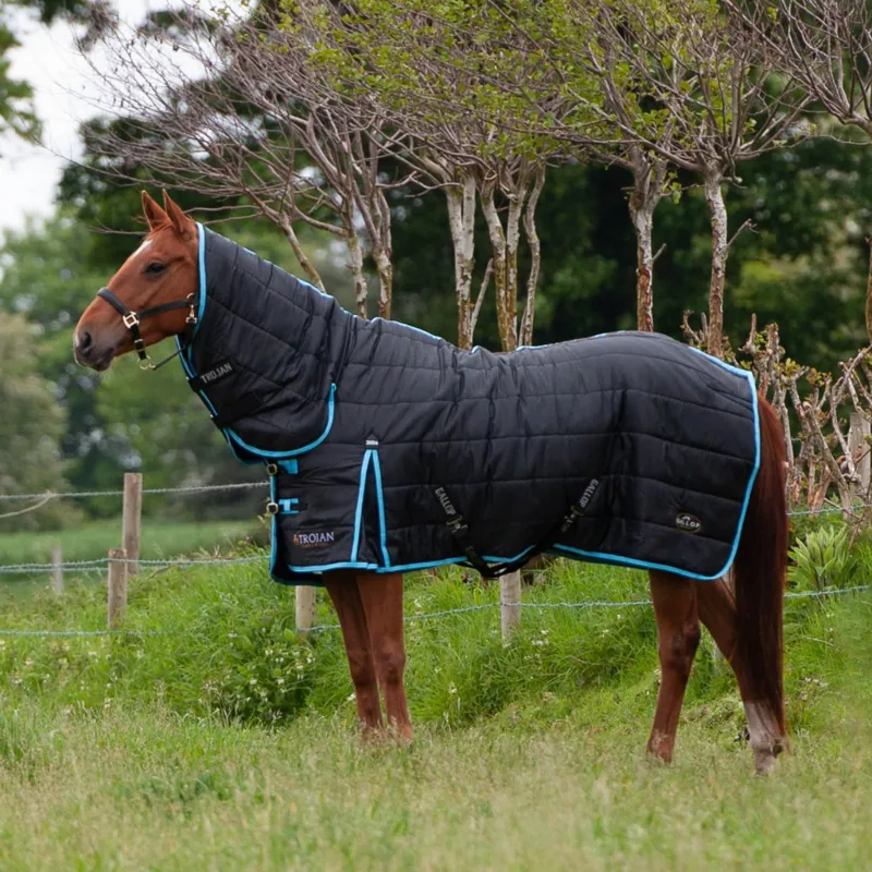 Gallop Trojan 300gm Stable rug