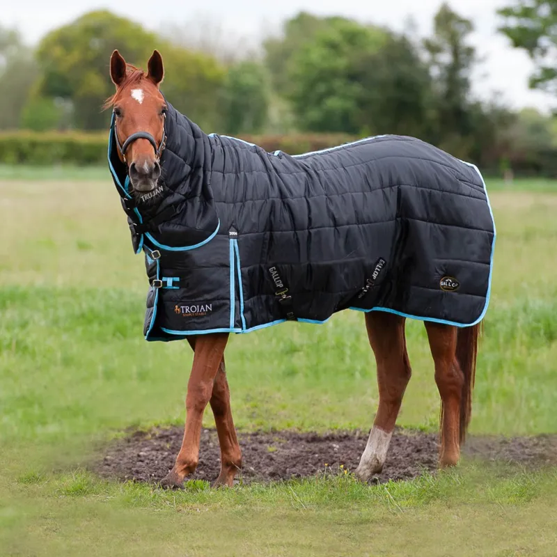 Gallop Trojan 300gm Stable rug-1