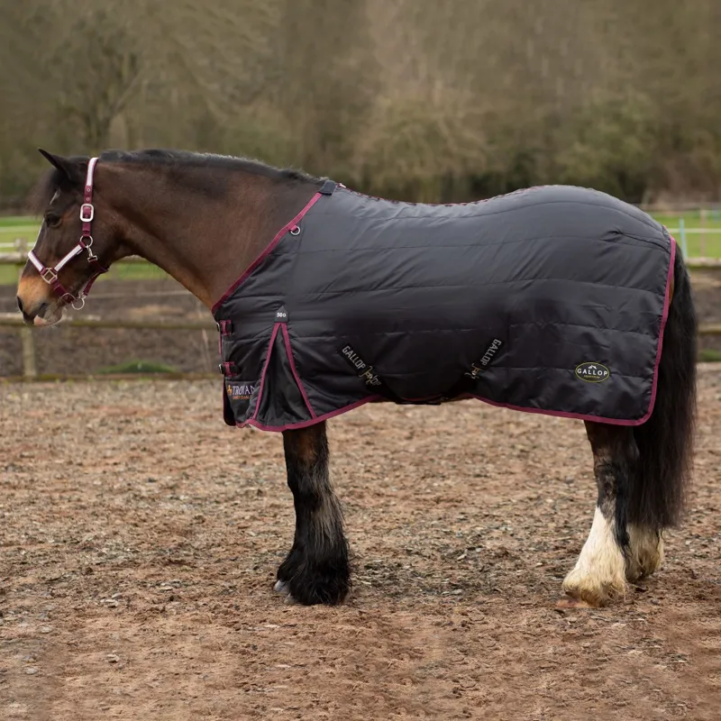 Gallop Trojan Stable rug 50g