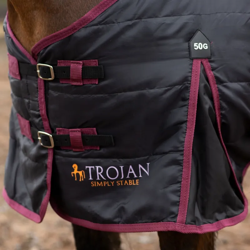 Gallop Trojan Stable rug 50g-2