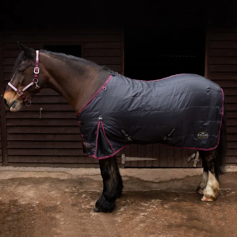 Gallop Trojan Stable rug 50g-3