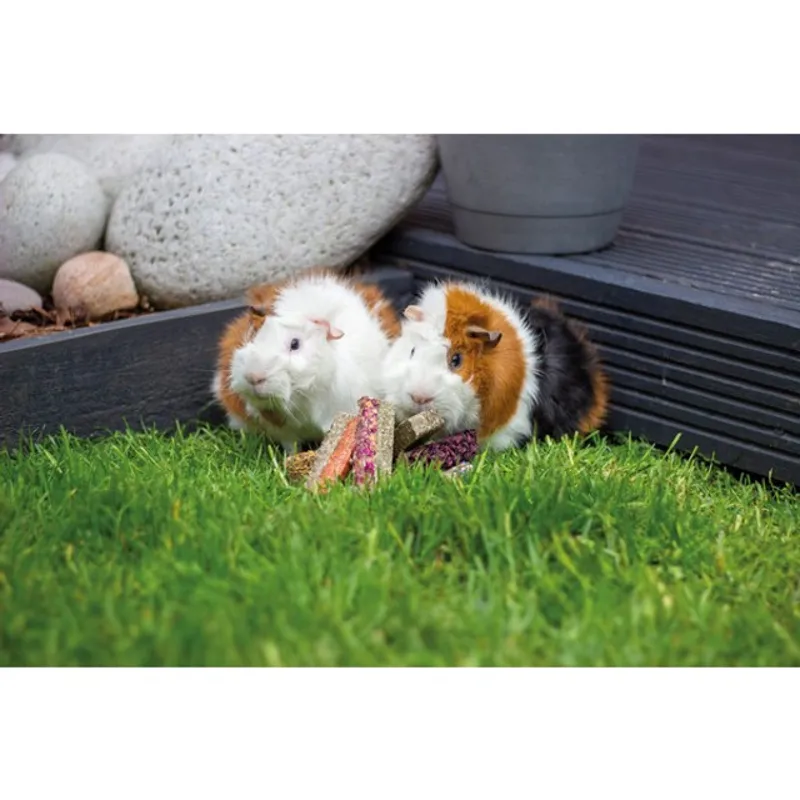 Naturals Luxury Flower Fruit and Veg Bar Treats for Small Animals-2