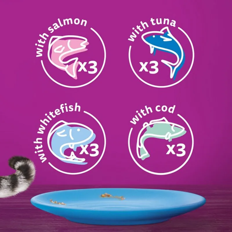 WHISKAS 1+ Cat Pouches Fish Favourites in Jelly 12x85g-2