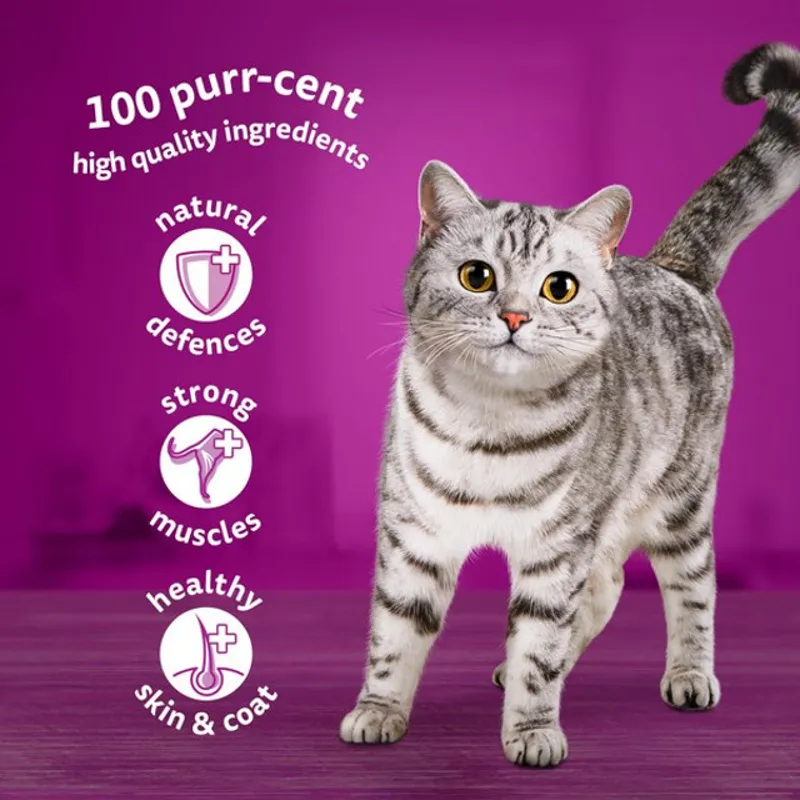 WHISKAS 1+ Cat Pouches Fish Favourites in Jelly 12x85g-3