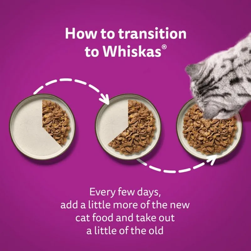 WHISKAS 1+ Cat Pouches Fish Favourites in Jelly 12x85g-4