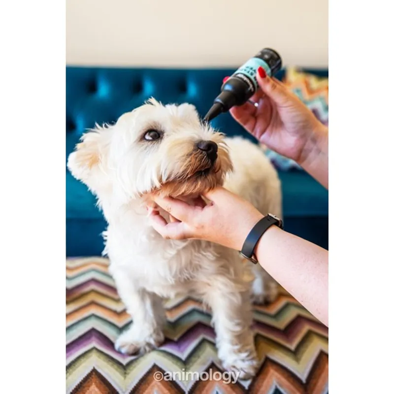 Animology Tear Stain Remover 100ml-1