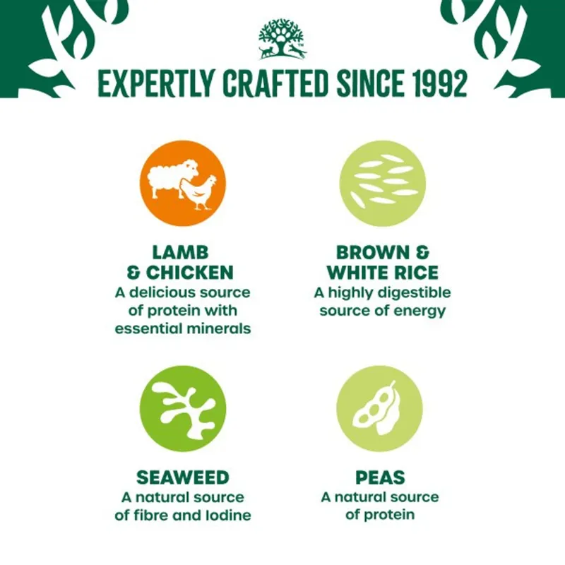 James Wellbeloved Adult Lamb in Gravy Pouch 48 x 90g-2