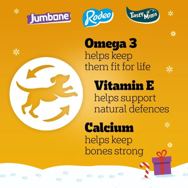 Pedigree Christmas Present Box 575g-3