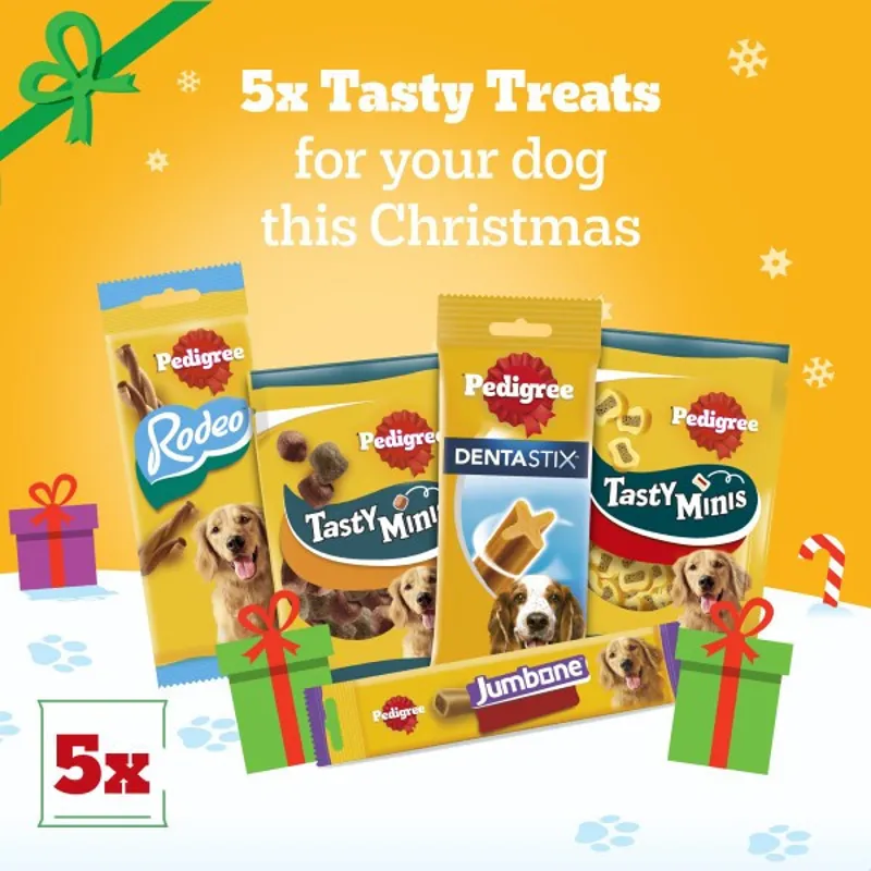 Pedigree Christmas Present Box 575g-4