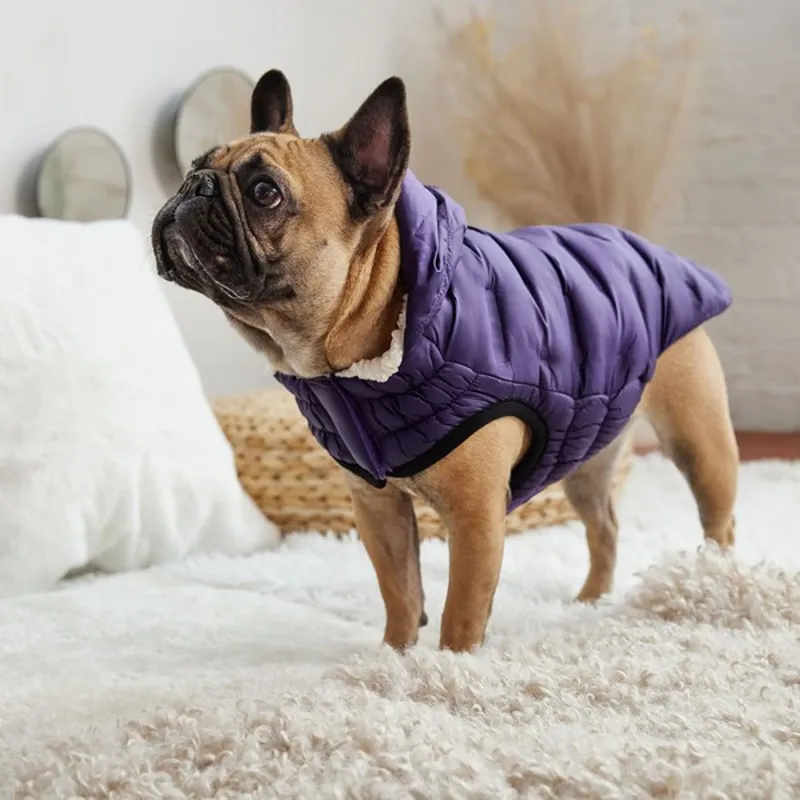 GF Pet Elasto-Fit Cloud Parka Purple-4