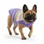 GF Pet Elasto-Fit Colour Block Puffer Purple