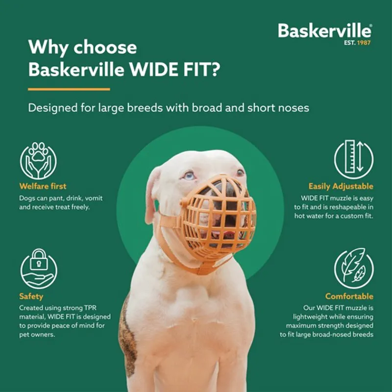 CoA Baskerville Wide Muzzle-6