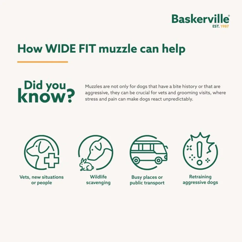 CoA Baskerville Wide Muzzle-8