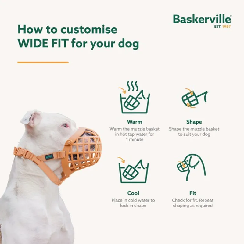 CoA Baskerville Wide Muzzle-9