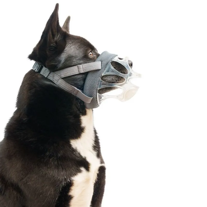 CoA Baskerville Invisa Muzzle-3