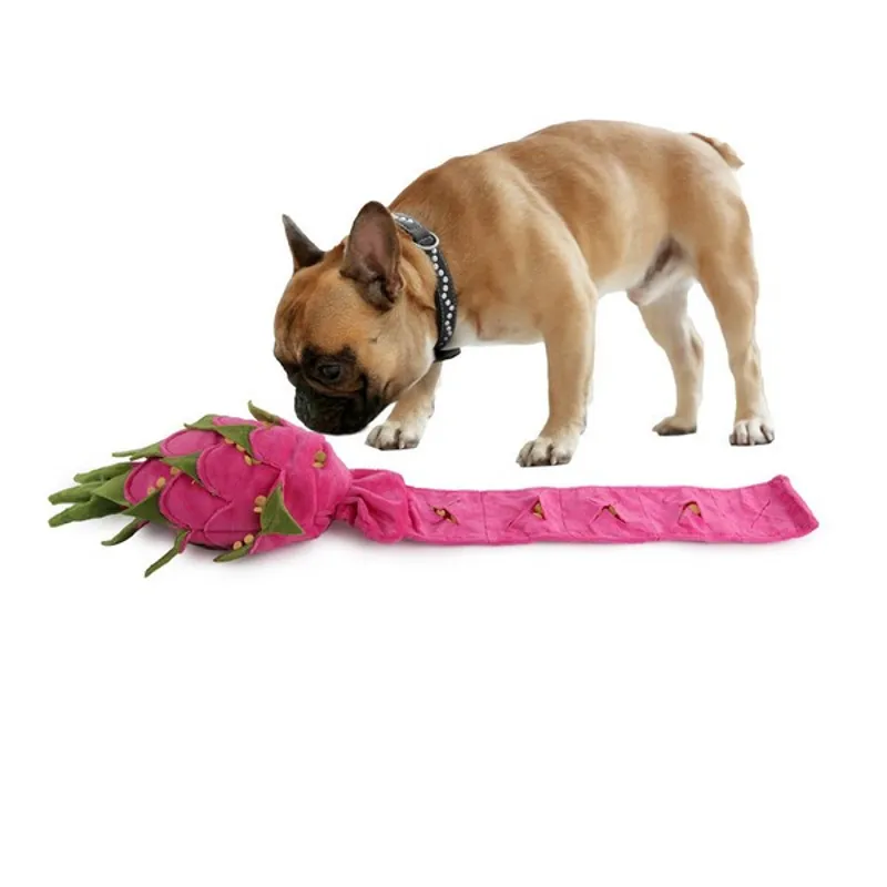 All For Paws Dig It Dragon Fruit Puzzle Toy-2