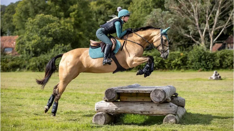 LeMieux Carbon Air XC Hind Boots Black-2