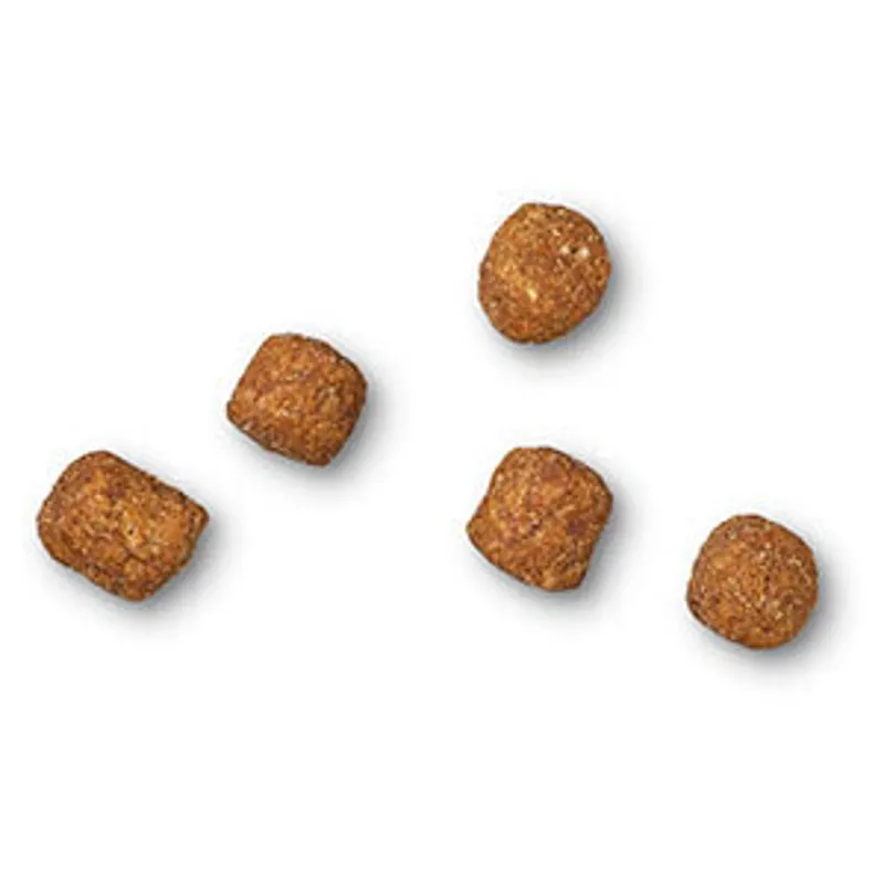 James Wellbeloved Light Dry Adult Cat Food Turkey and Rice 1.5kg-1