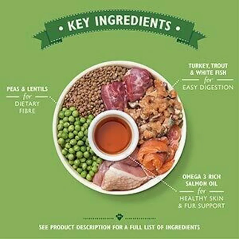 Lily's Kitchen Turkey and Trout Dry Senior Dog Food-1