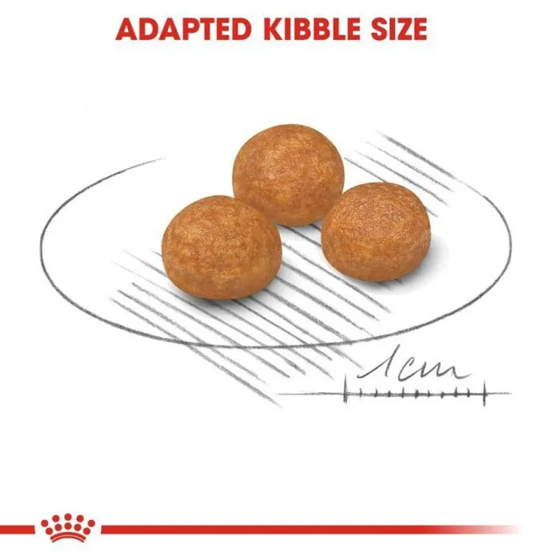 Royal Canin X-Small Adult Dry Dog Food 1.5kg-4