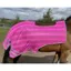 Firefoot Exercise Sheet Pink