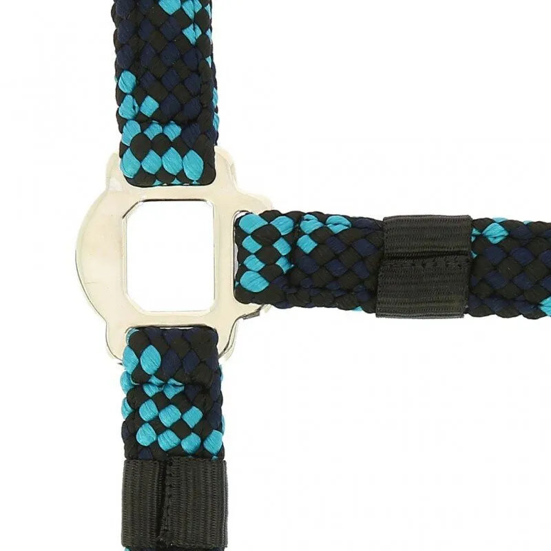 Norton TRESSAHeadcollar and lead rope Turquoise and Navy-1