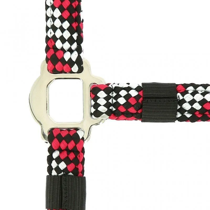 Norton TRESSÉ Headcollar and lead rope Fushia and Grey-1