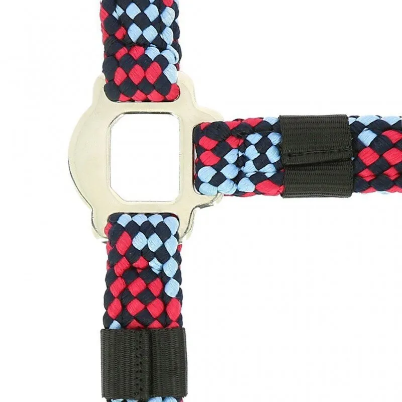 Norton TRESSÉ Headcollar and lead rope Fushia and Sky Blue-1