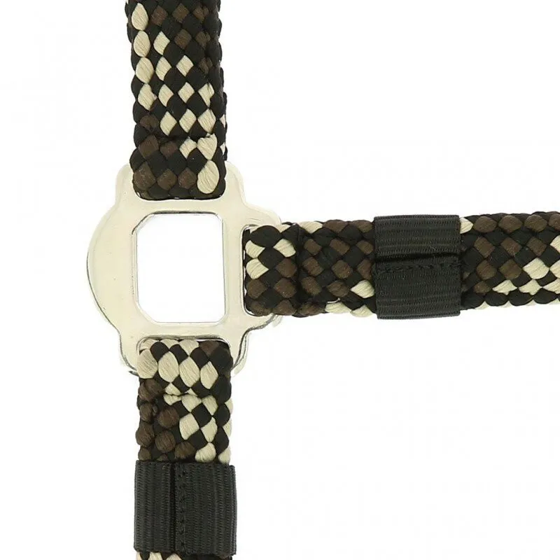 Norton TRESSÉ Headcollar and lead rope Beige and Chocolate-1